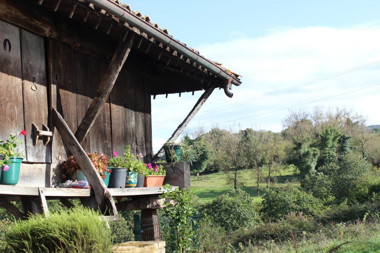 El Llagar - Sagasta Rural * Oviedo