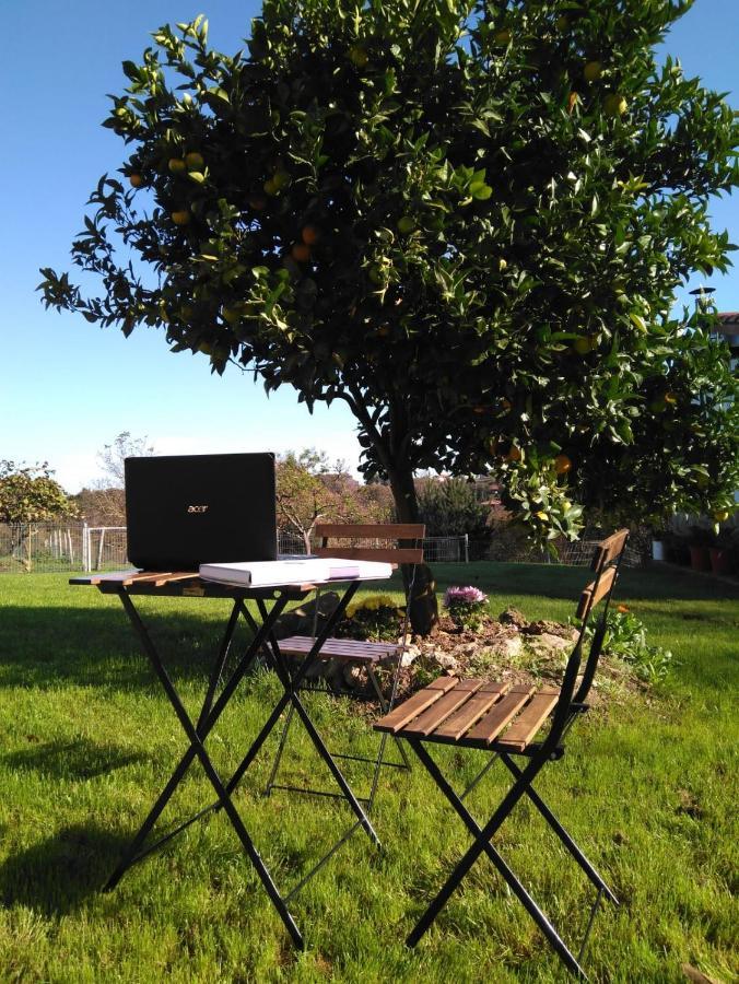 Country house El Llagar - Sagasta Rural *
