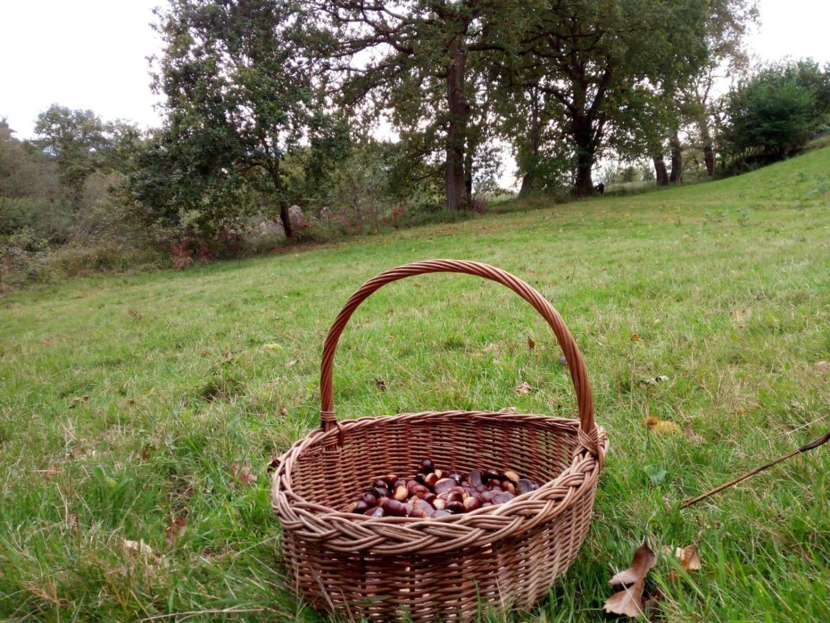 El Llagar - Sagasta Rural Country house Oviedo