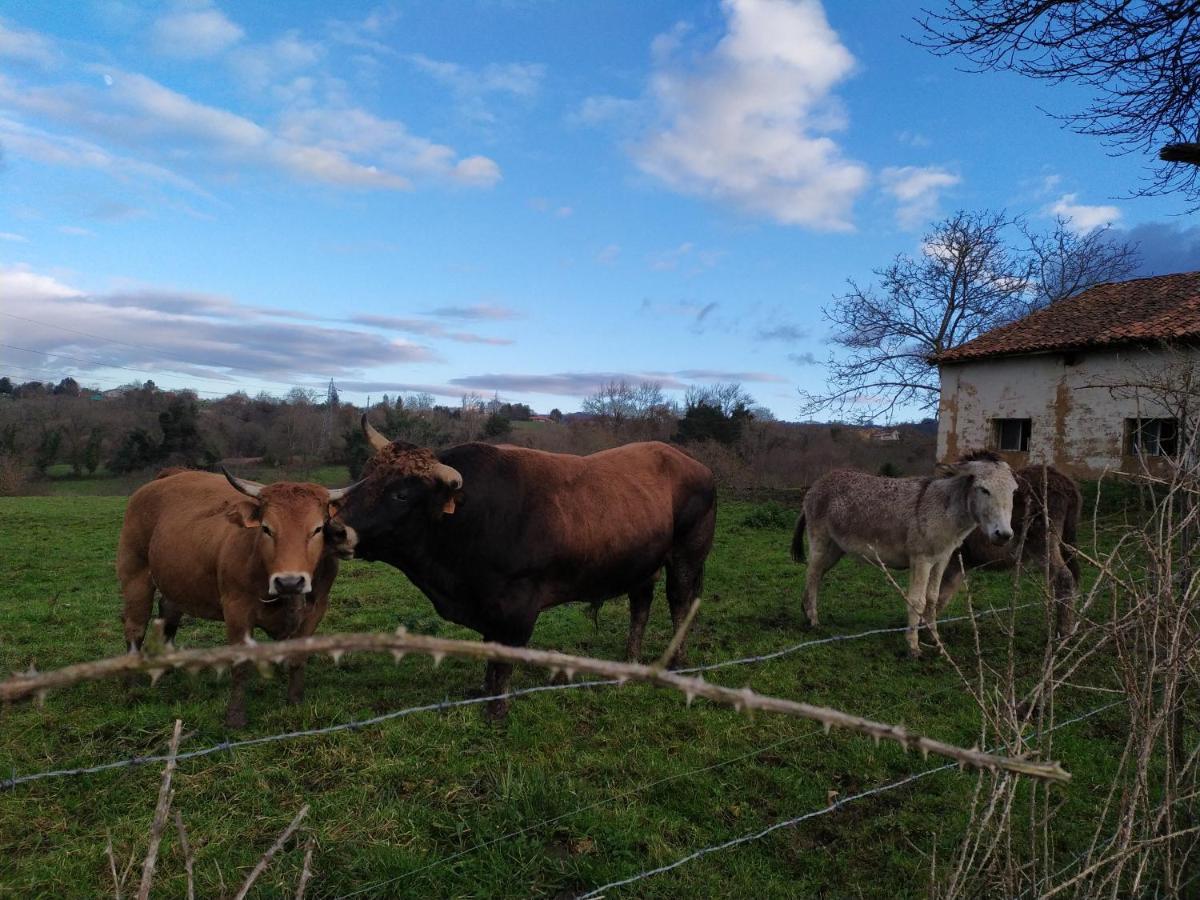 El Llagar - Sagasta Rural Country house Oviedo