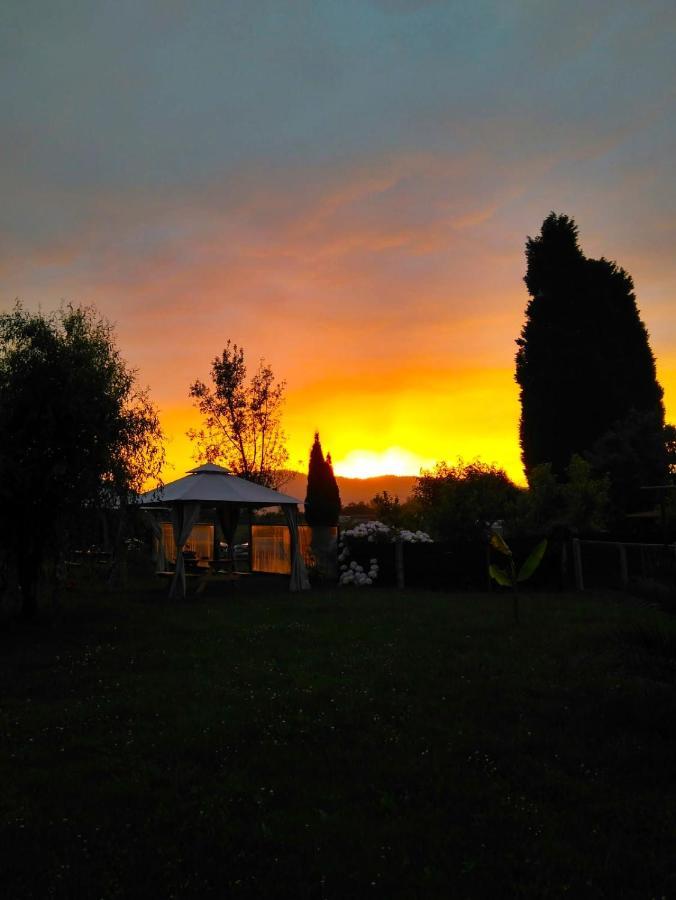 Country house El Llagar - Sagasta Rural