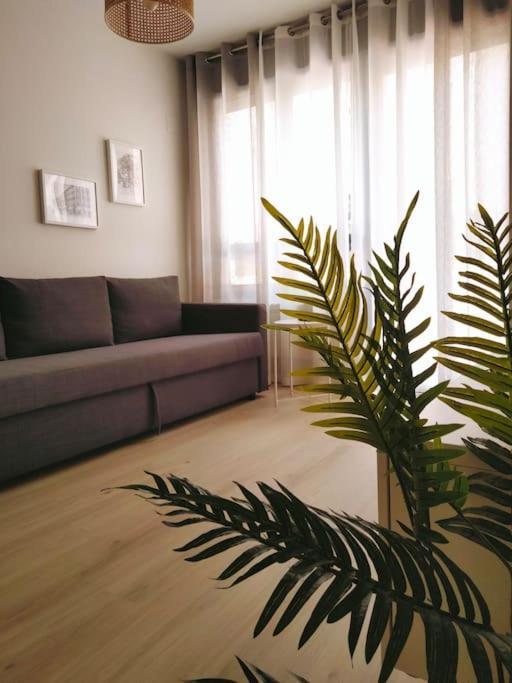 A Estrenar En Ubicación Inmejorable , Con Terraza Y Parking Incluido Apartamento Oviedo