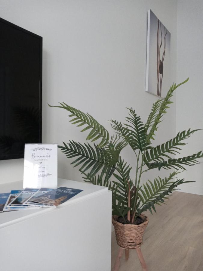 Apartamento A Estrenar En Ubicación Inmejorable , Con Terraza Y Parking Incluido Oviedo