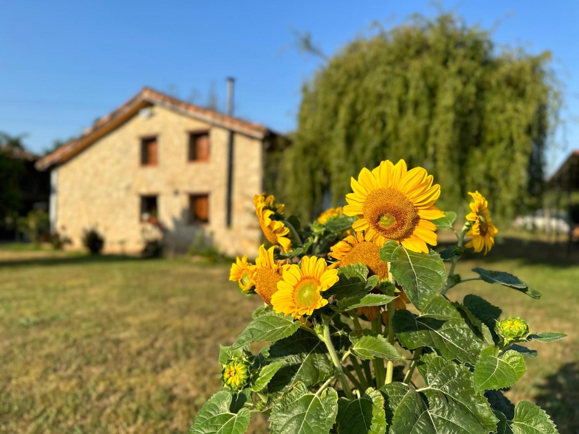 El Llagar - Sagasta Rural Country house