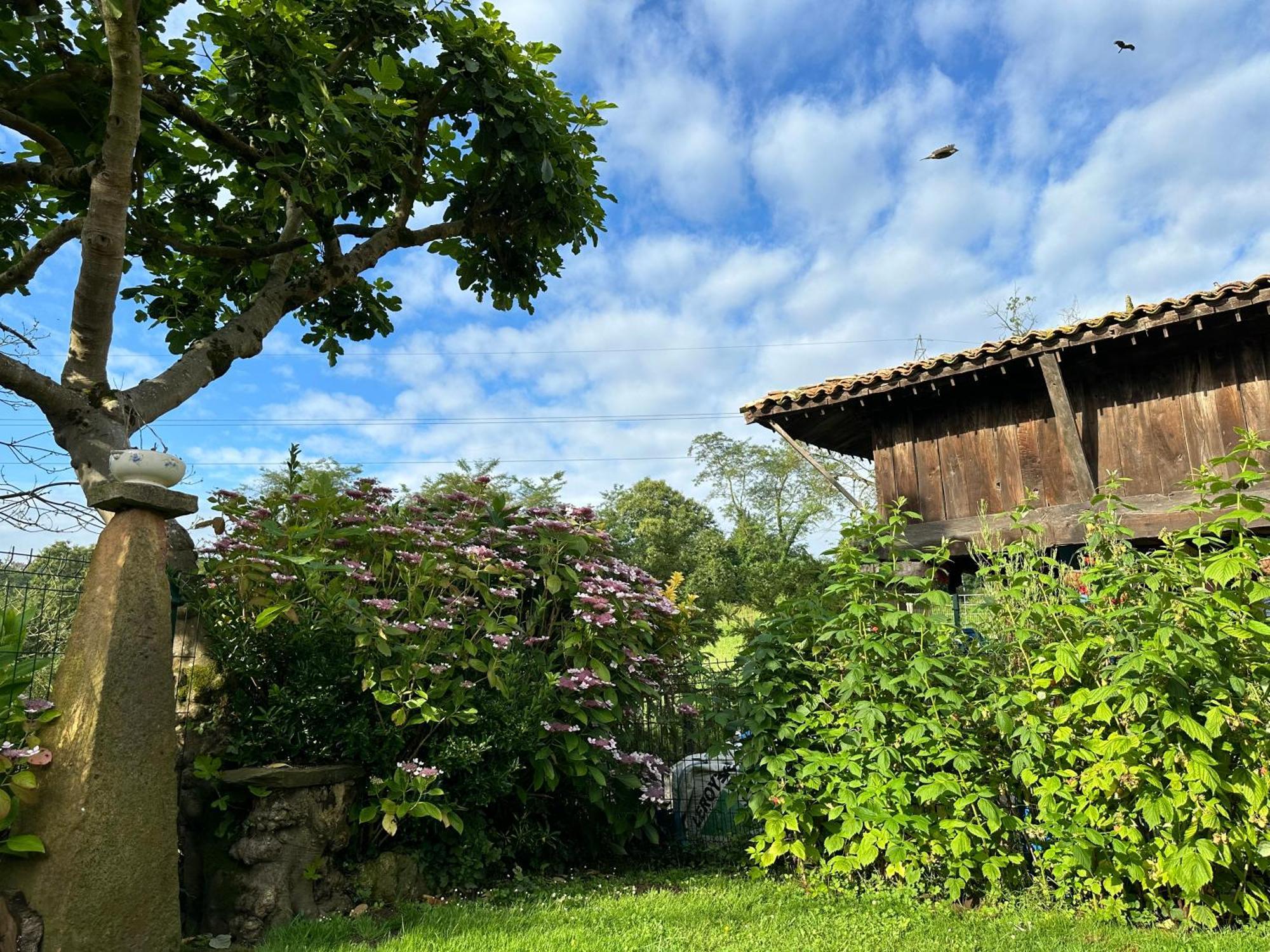 Country house El Llagar - Sagasta Rural